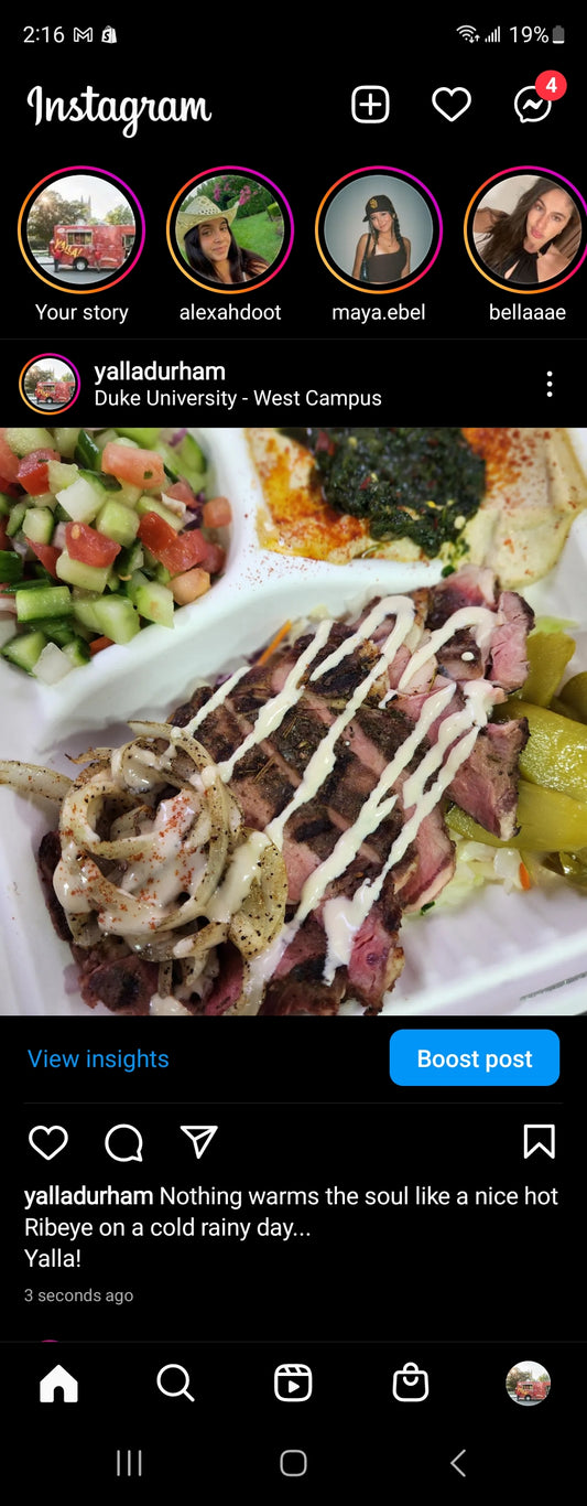 RIBEYE  IN PITA